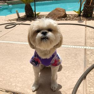 Meet your Posher, Lanette